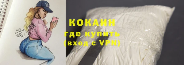 стафф Корсаков