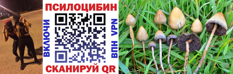 Галлюциногенные грибы Magic Shrooms  Купить  Березники 